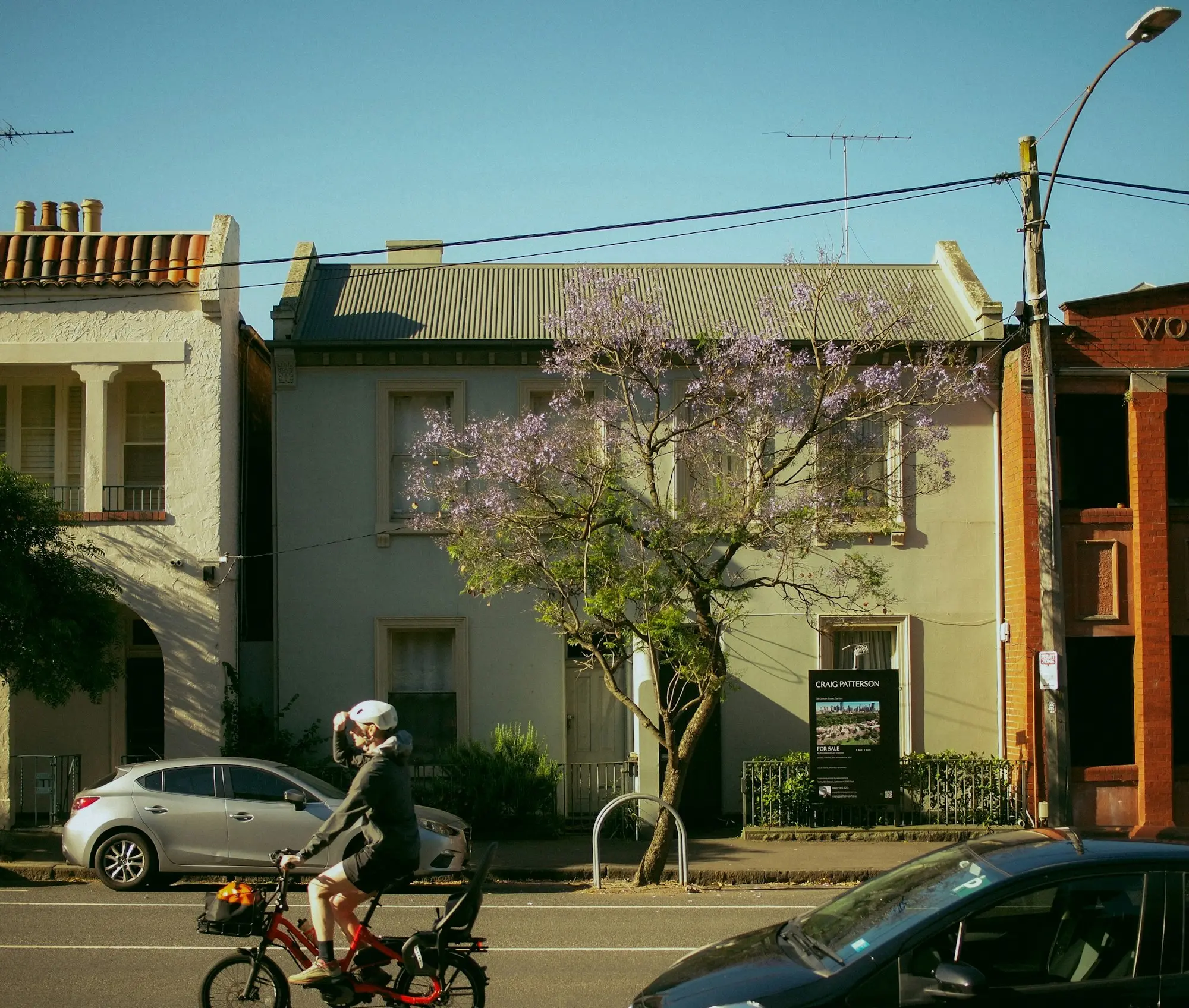 Terrace houses with a jacaranda in bloom in Melbourne